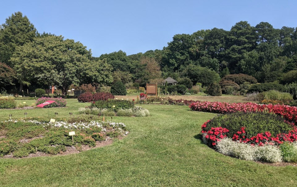 Tidewater Arboretum, United States